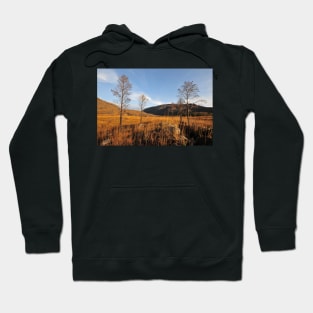 Glen Torridon Hoodie